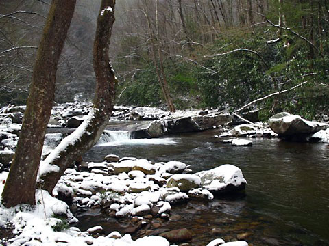 Big Creek Trail