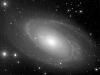 the galaxy M81