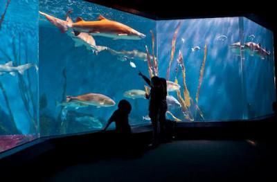 Best US Aquariums.jpg