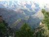 Grand Canyon.JPG