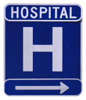 NY Area Hospitals POI.jpg