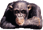 Robert A.'s picture